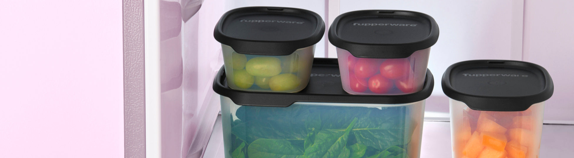 Conservación – Tupperware
