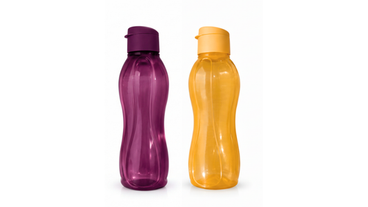 Conjunto 2 Eco Garrafas 1L